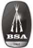 BSA Guns
